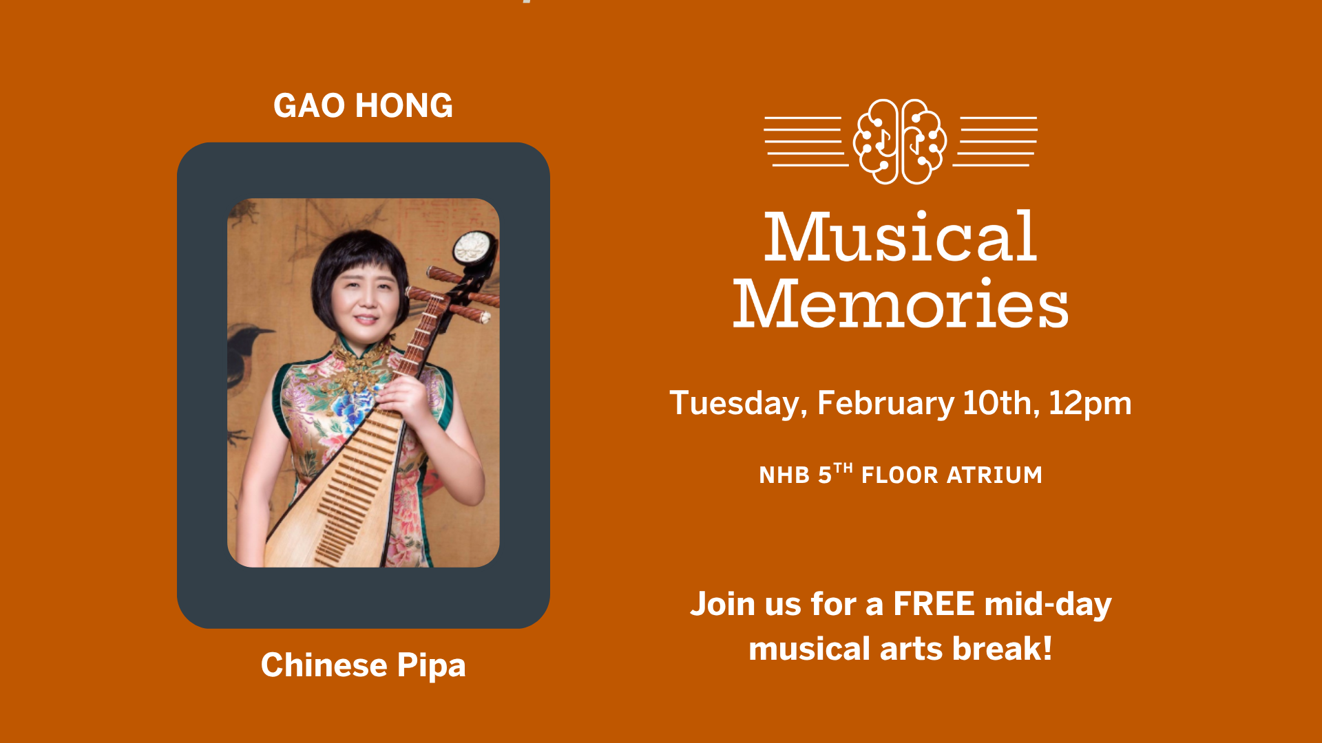 Chinese pipa